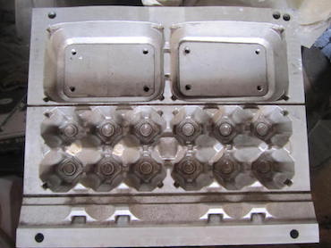 egg carton mold